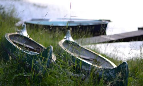 Napowietrzacz do stawu: Jak wybrać odpowiedni model dla Twojego ogrodu