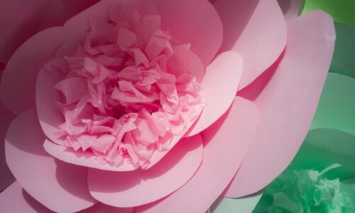 Co oznaczają kolory róż – symbolika barw kwiatów