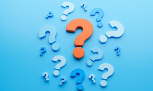 Monika Kociołek – kariera w sieci i TV