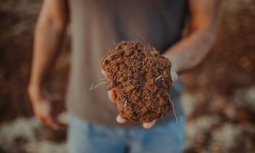 Co oznacza rzucanie ziemi na trumnę?