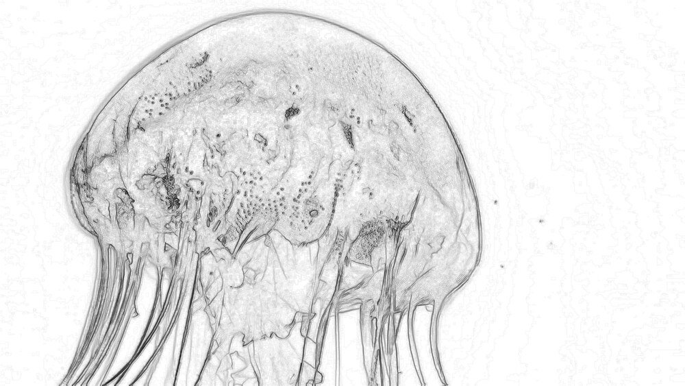 Tatuaż meduza – znaczenie i symbolika wzoru